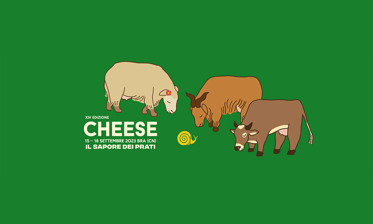 cheese-bra-2023